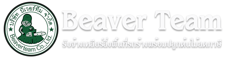 รับตัดต้นไม้ทุกชนิด รับตัดต้นโพธิ์ ตัดต้นไทร ตัดแต่งทรง โค่นต้นไม้ใหญ่ เคลียร์พื้นที่ | บีเวอร์ทีม.com